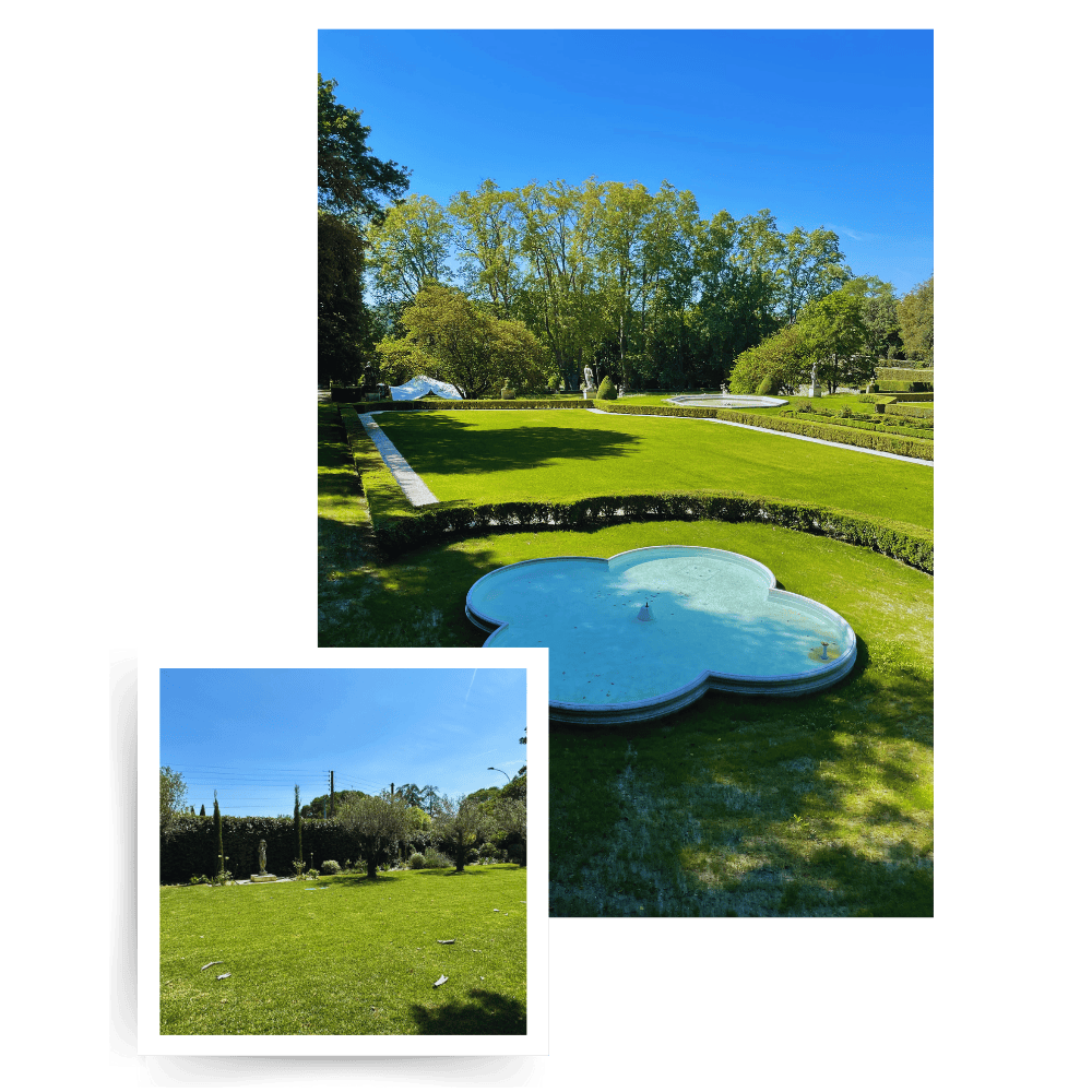 Entretien de jardin en provence par des professionnels