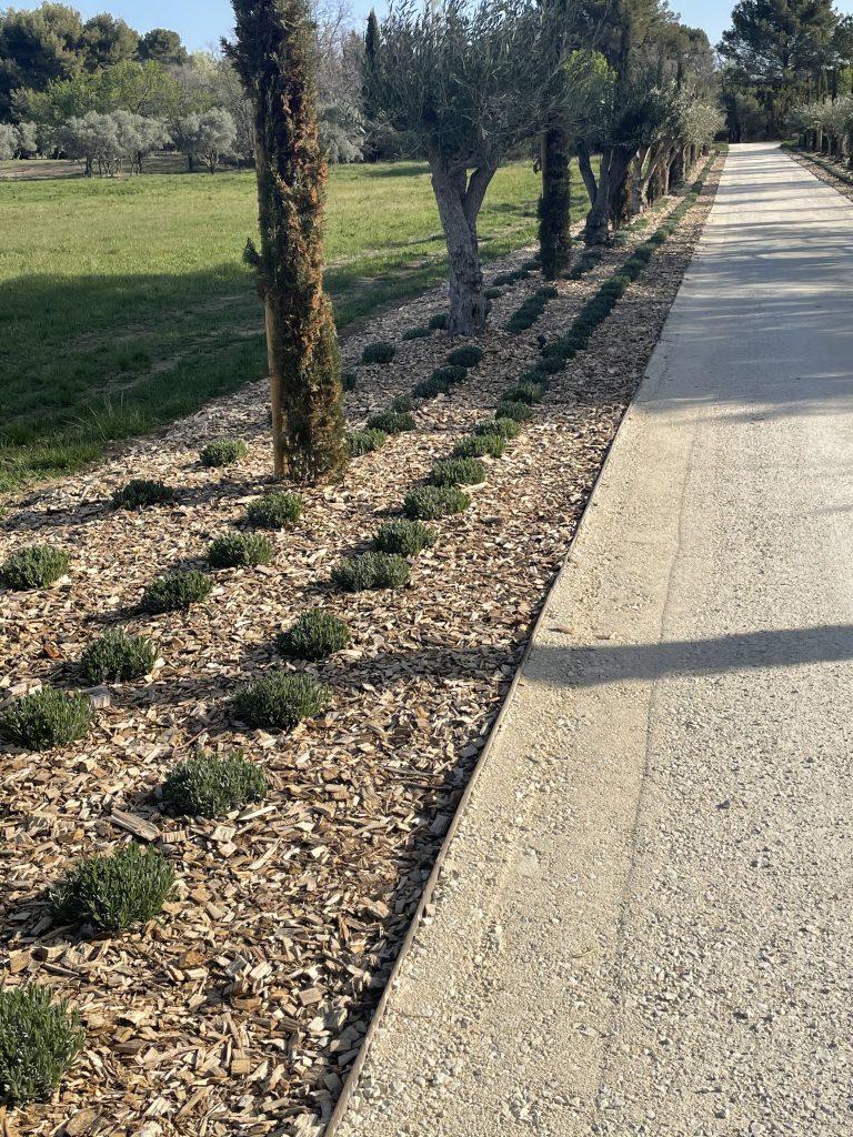 Chemin de Jardin en Provence, Saint Cannat