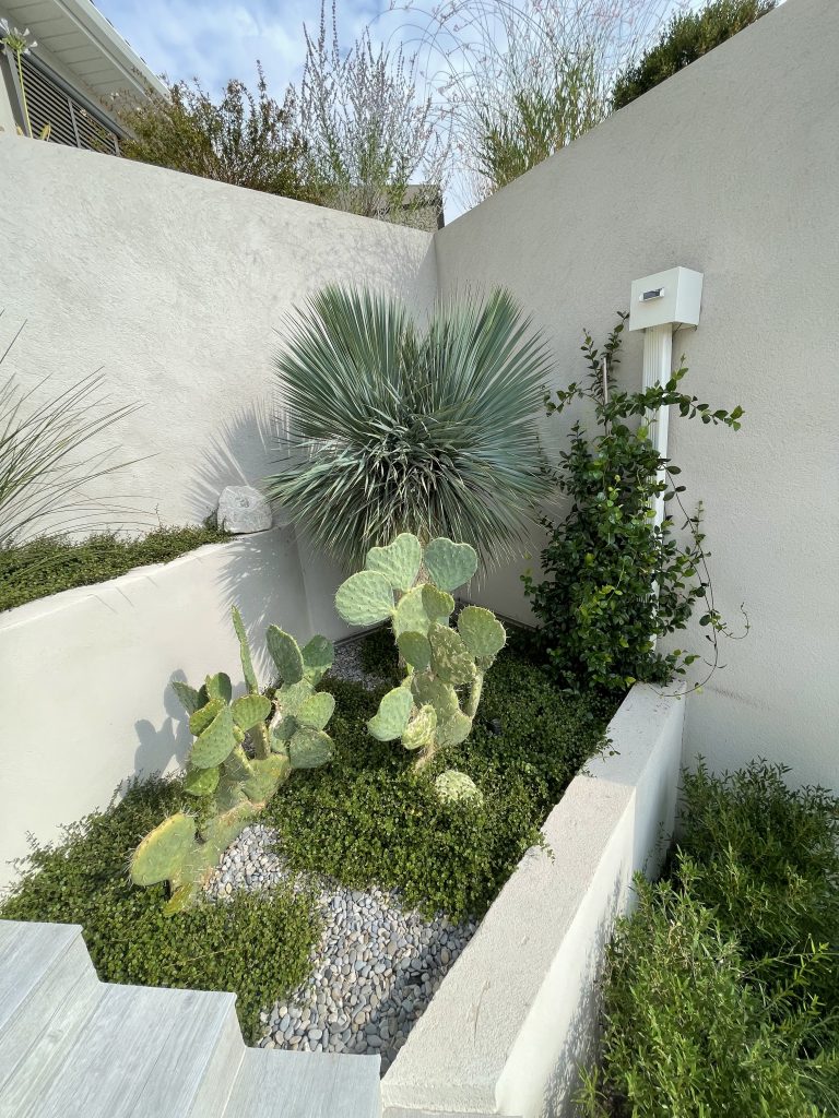 Plantation pour Jardin, Paysagiste le Tholonet